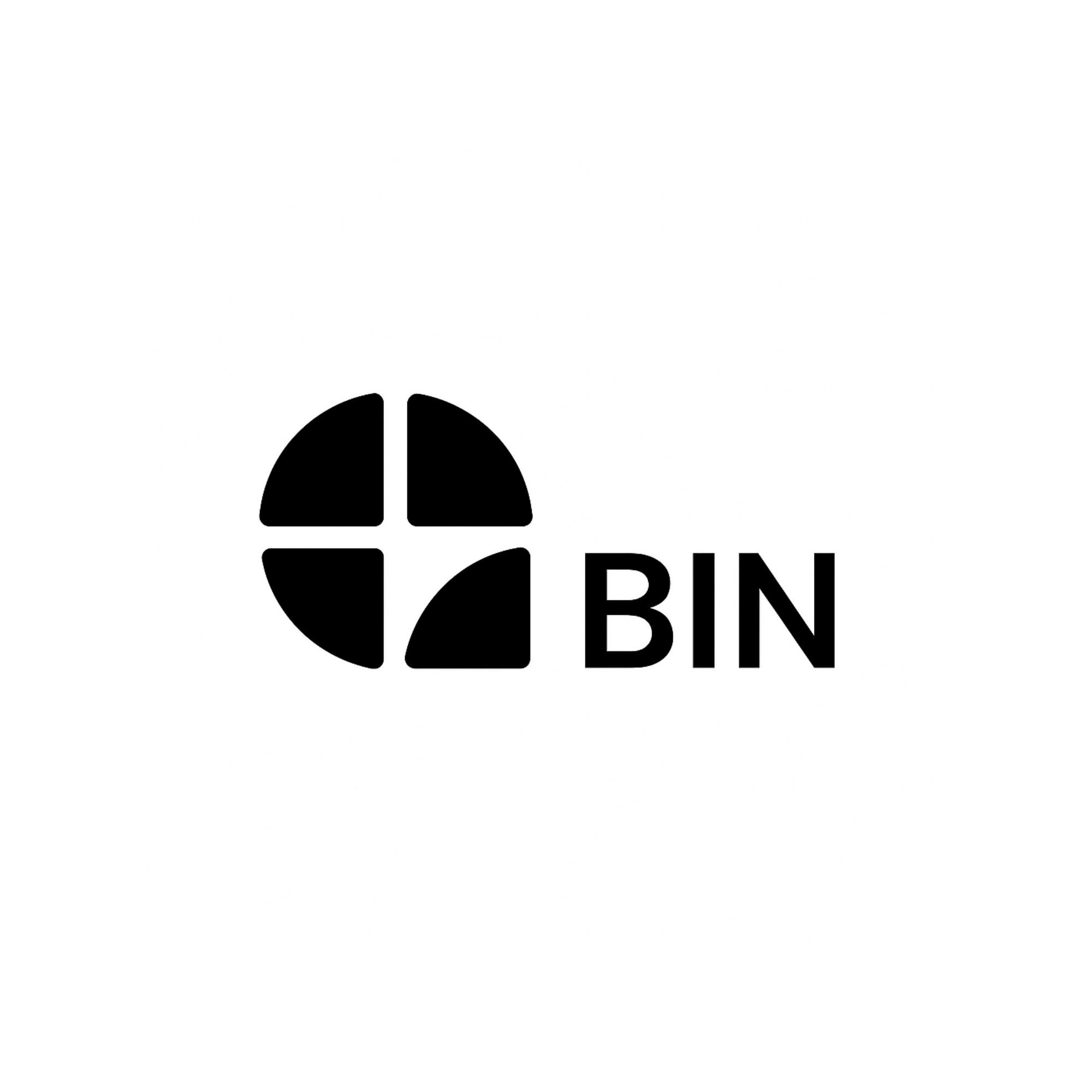 BIN Logo